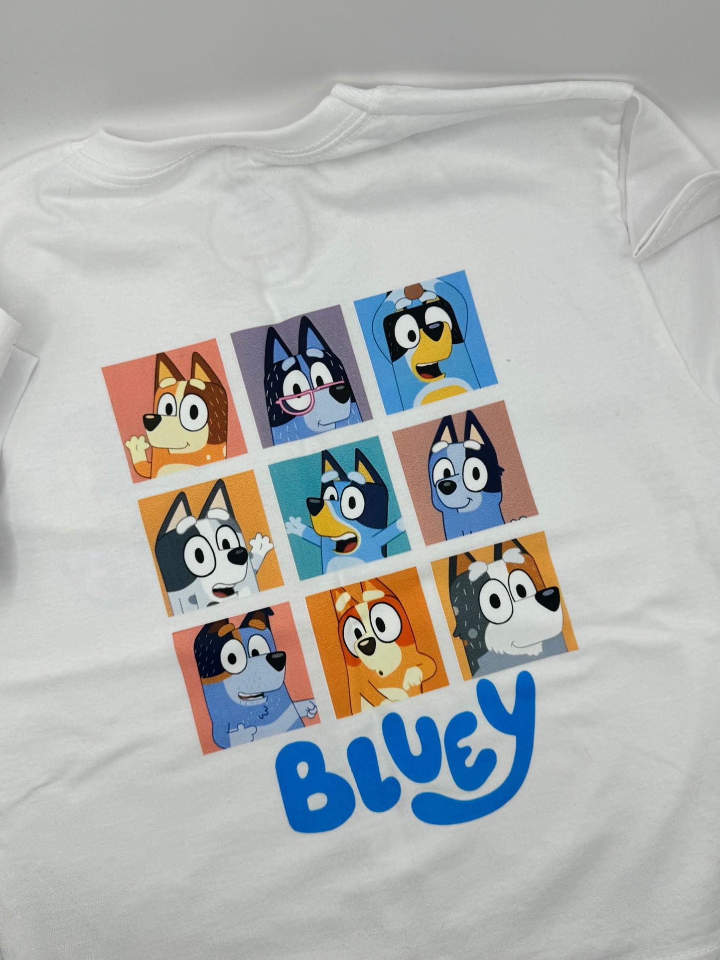 Adults Choose your design Blueydog t shirt