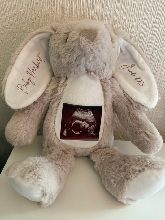 Pregnancy Announcement Bear