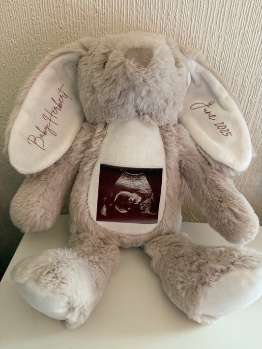 Pregnancy Announcement Bear
